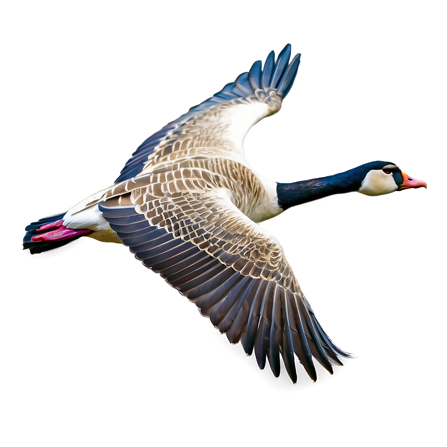 Majestic Goose In Flight Png 06112024