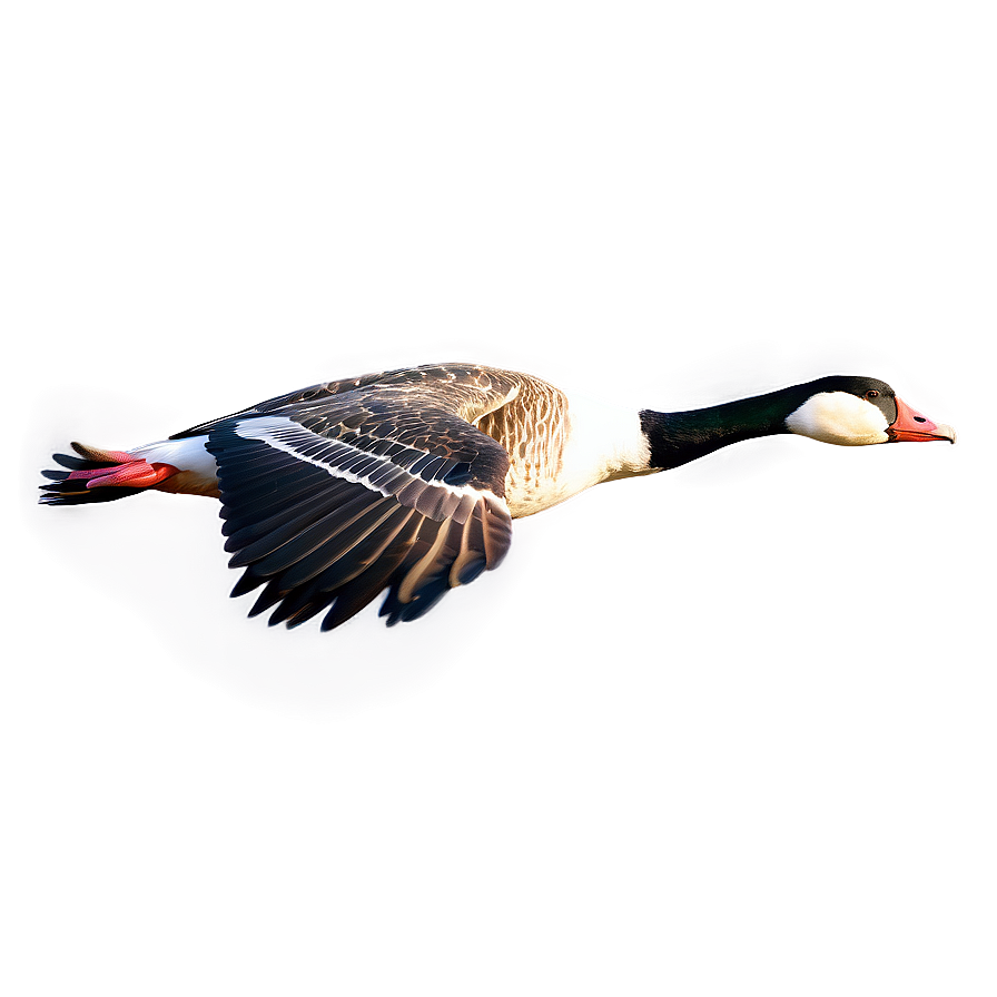 Majestic Goose In Flight Png 90