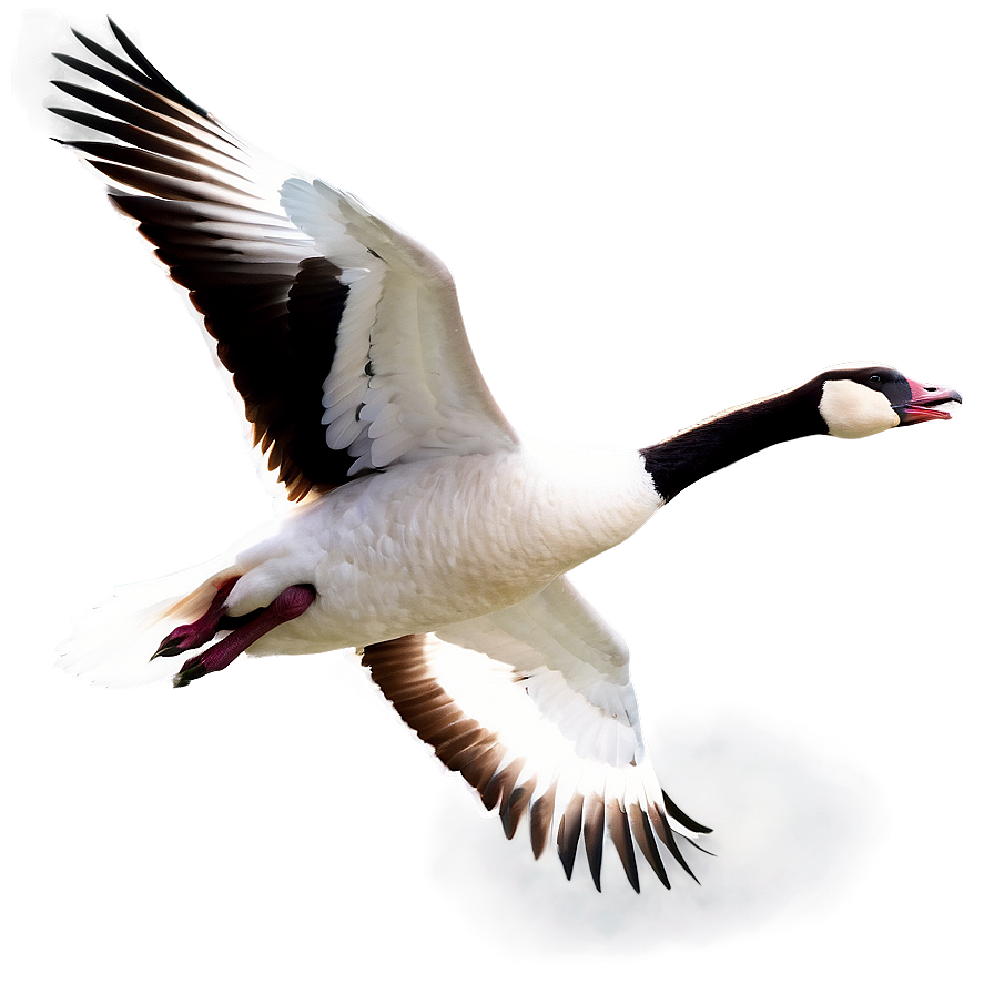 Majestic Goose In Flight Png Cim