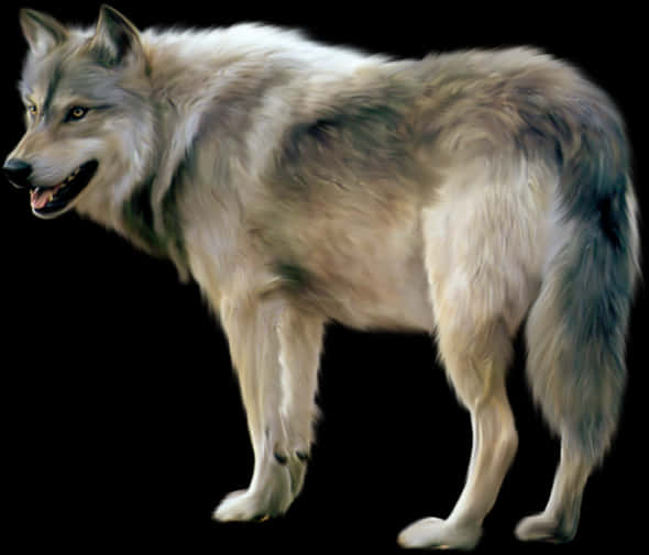 Majestic Gray Wolf