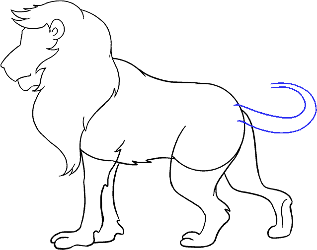 How To Draw Lion - Lion Picture For Drawing, HD Png Download PNG with transparent background