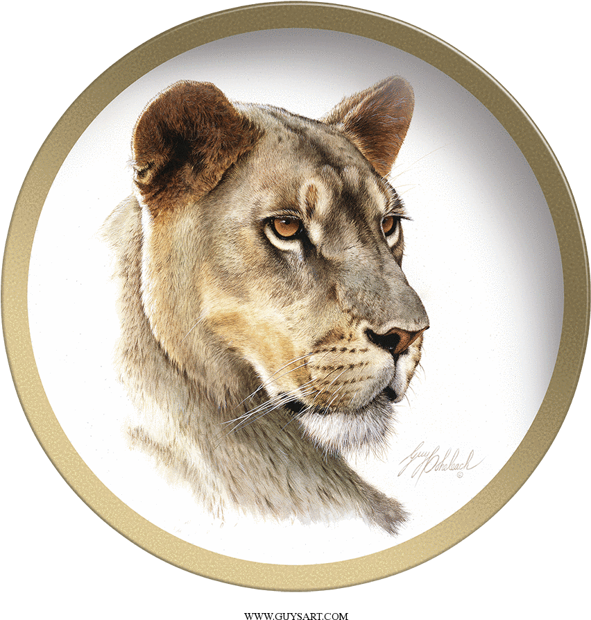 Majestic Lioness Portrait