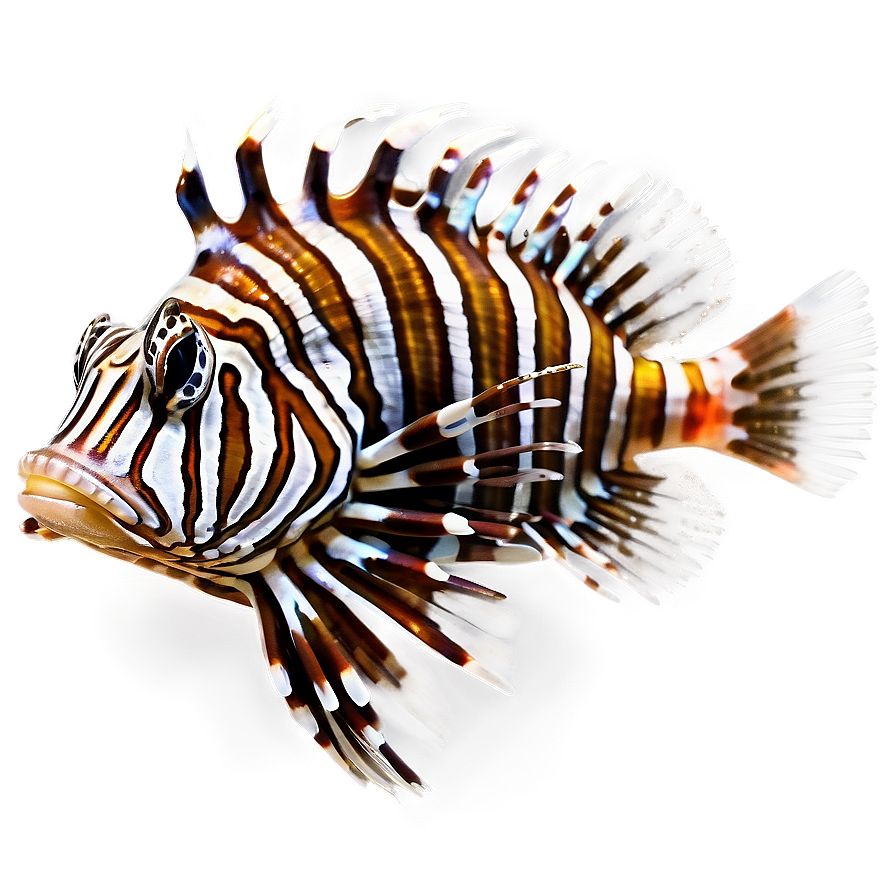 Majestic Lionfish Png 6