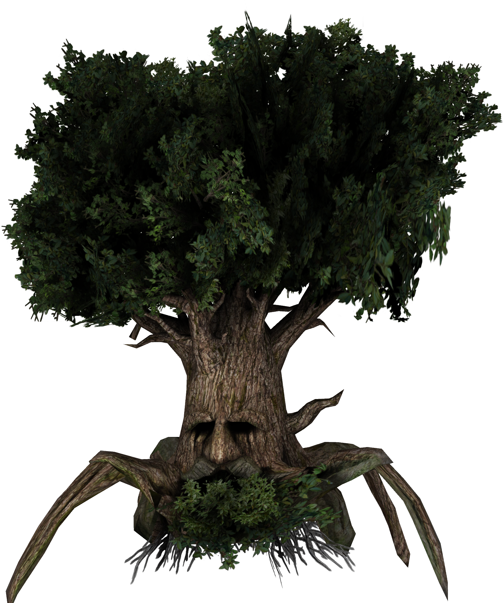 Transparent Bonsai Tree Png - Great Deku Tree Png, Png Download PNG with transparent background