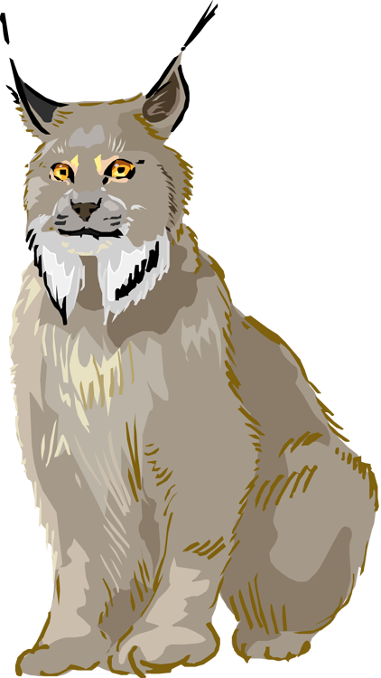 Majestic Lynx Illustration