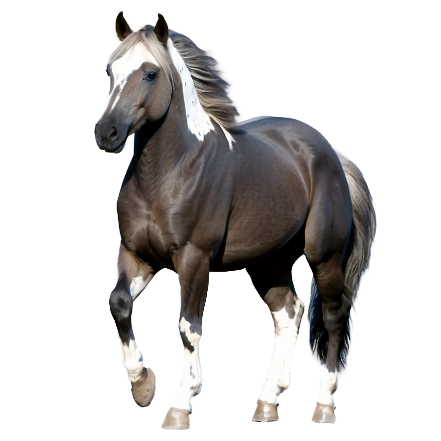 Majestic Mustang Horse Pose Png 93