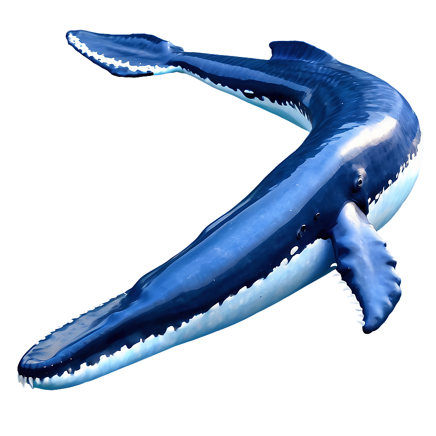 Majestic Ocean Whale Png 05212024