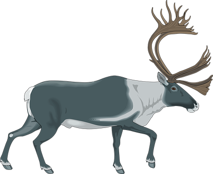 Majestic Reindeer Illustration PNG with transparent background