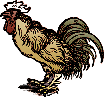 Majestic Rooster Illustration PNG with transparent background