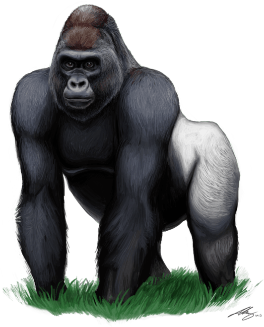 Majestic Silverback Gorilla Artwork