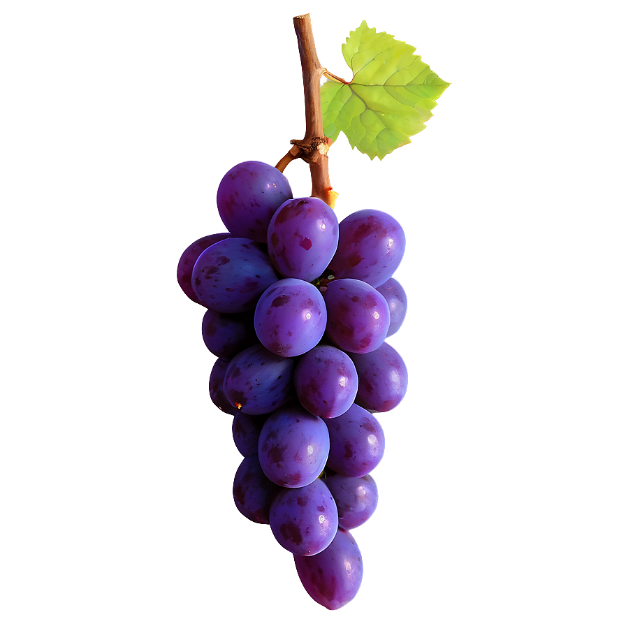 Majestic Single Grape Png Msh20