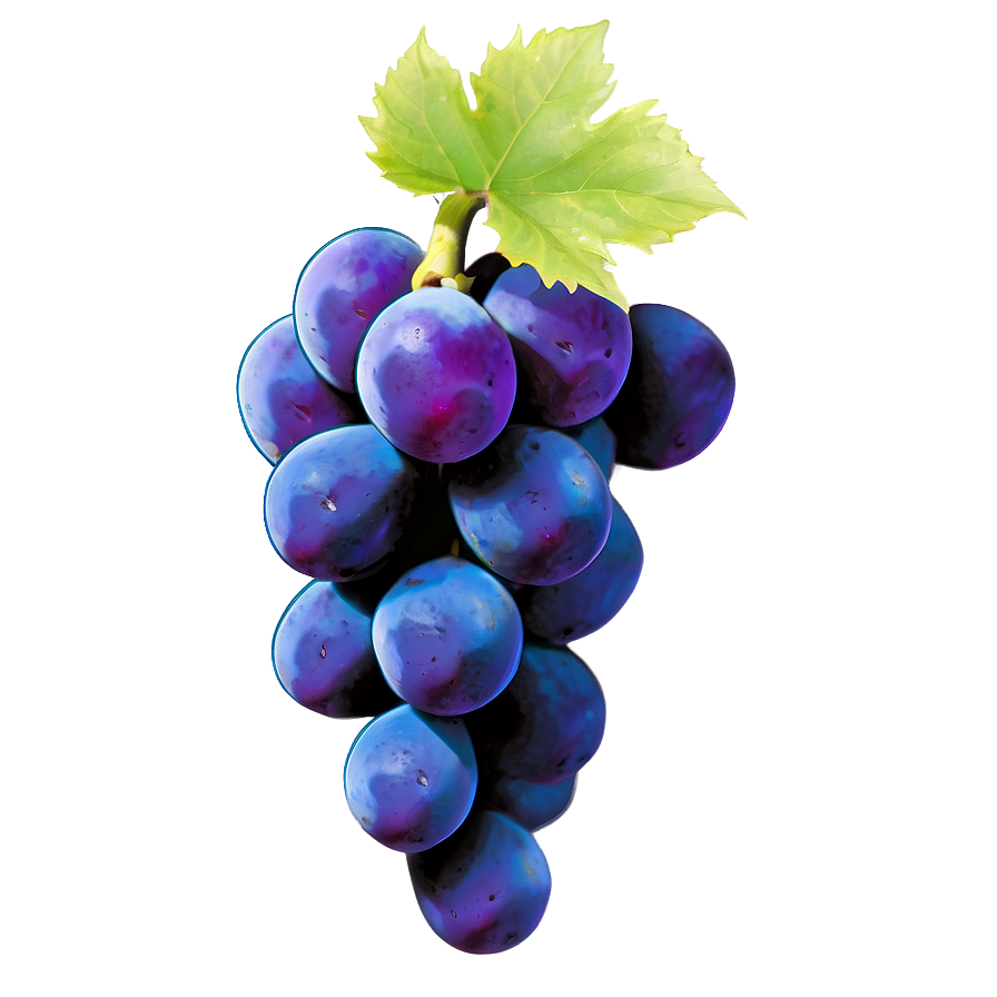 Majestic Single Grape Png Sdk