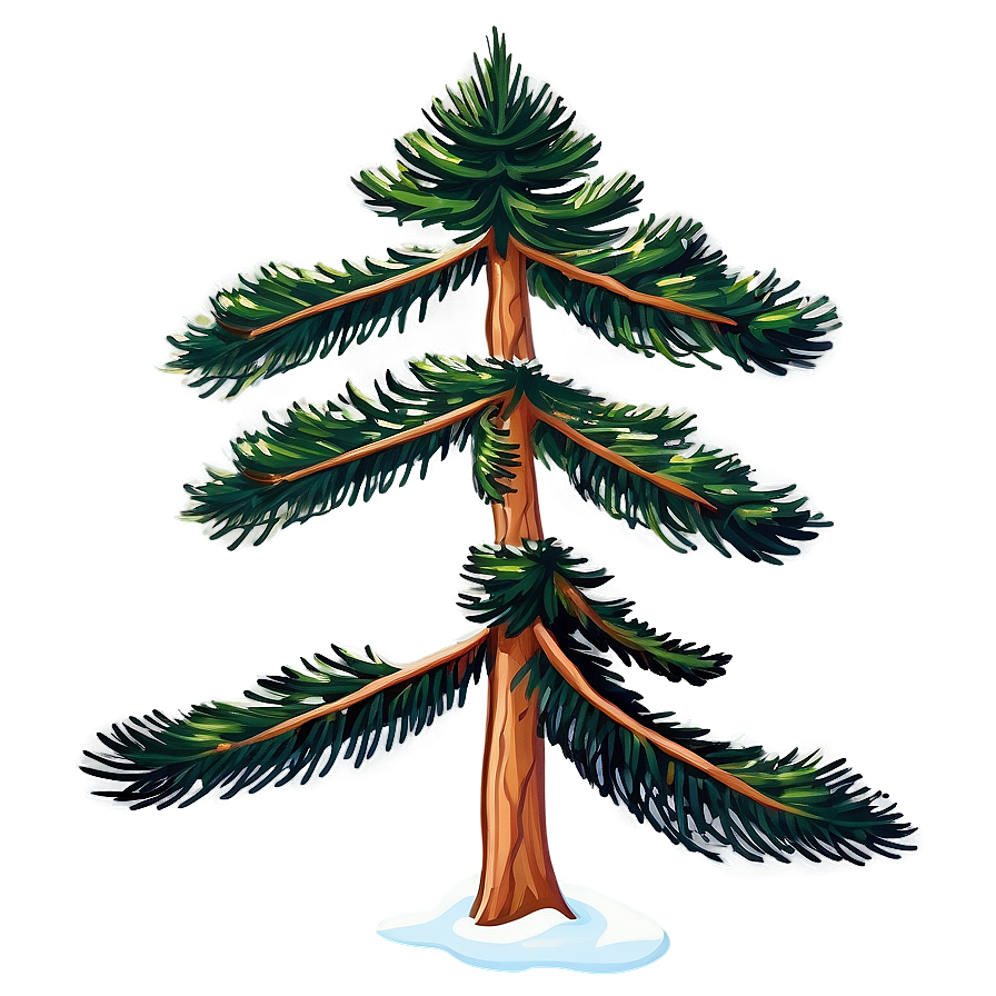 Majestic Spruce Tree Clipart Png 06132024