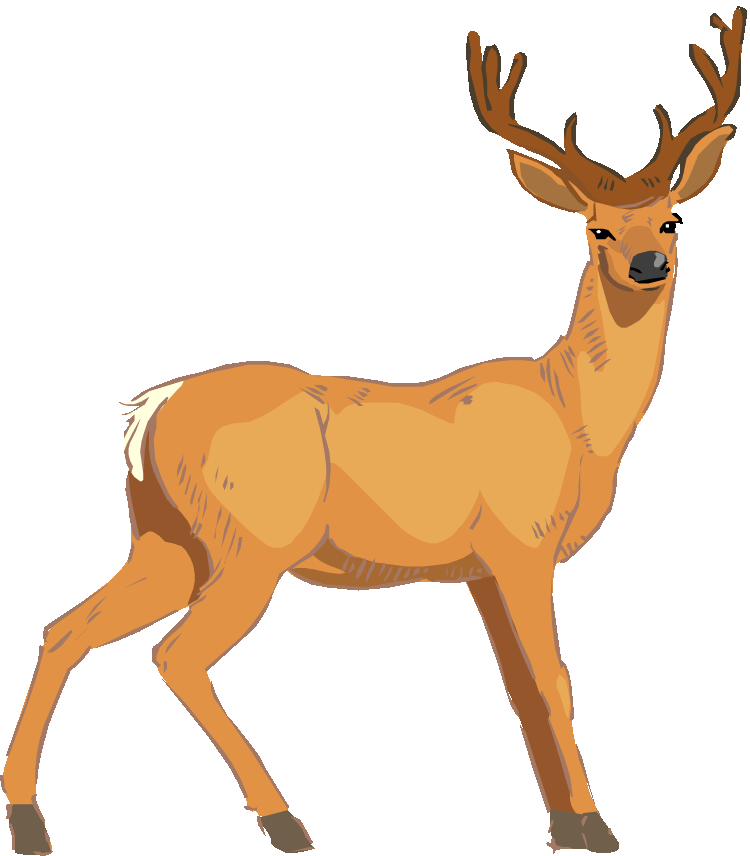 Majestic Stag Illustration