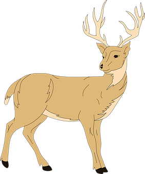 Majestic Stag Illustration PNG with transparent background