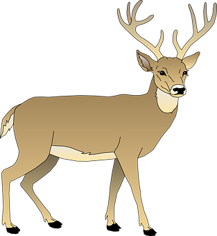 Majestic Stag Illustration PNG with transparent background