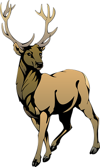 Majestic Stag Illustration