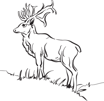 Majestic Stag Silhouette PNG with transparent background