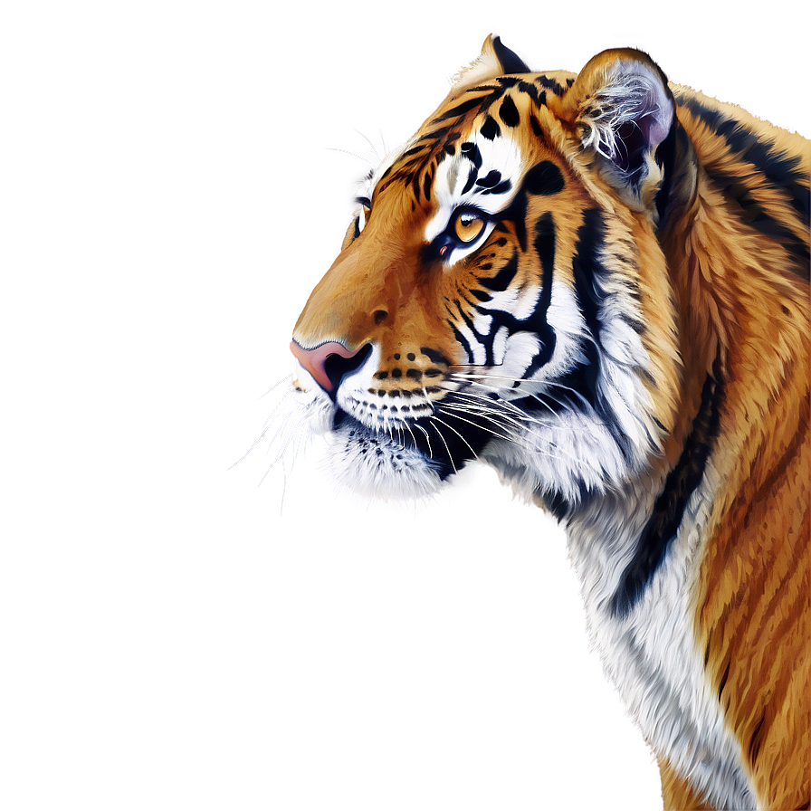 Majestic Tiger Png 05032024