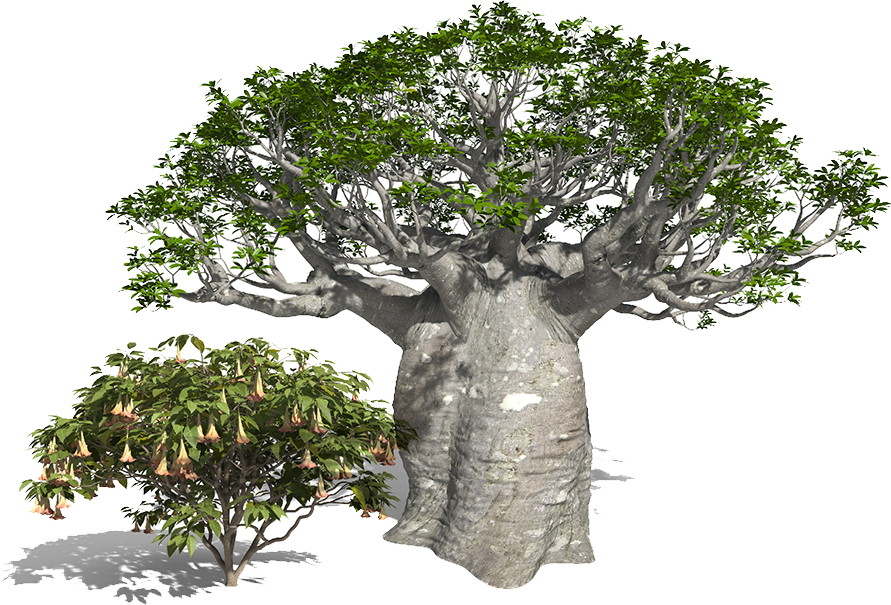 Majestic Tree3 D Render