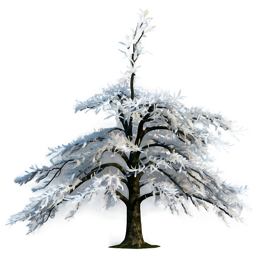 Majestic White Tree Panorama Png Pyi