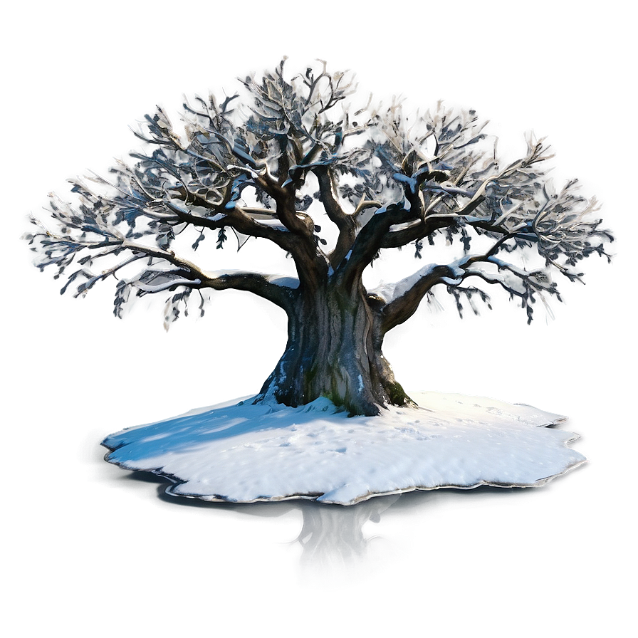 Majestic White Tree Panorama Png Syu7