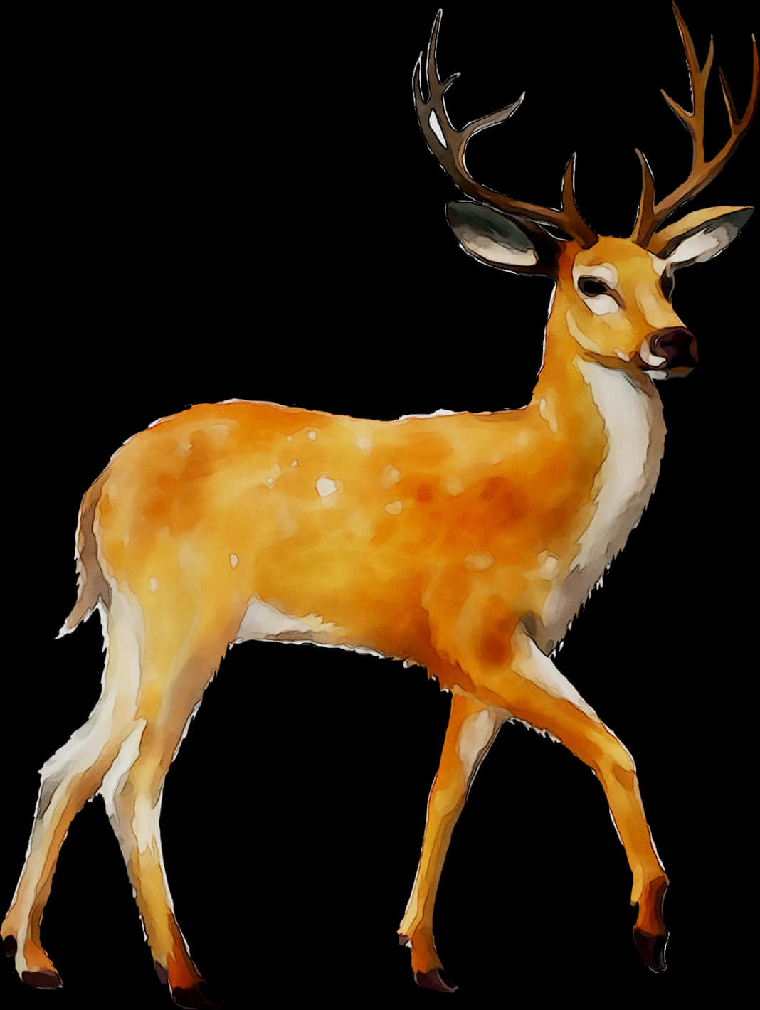 Majestic Whitetail Deer Illustration