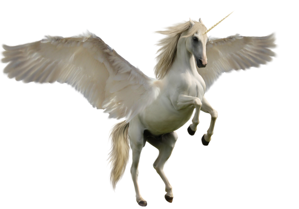 Majestic Winged Unicorn PNG with transparent background