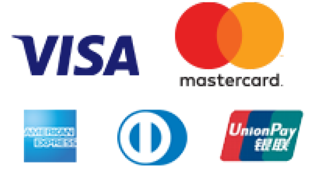 Major Payment Brands Logos