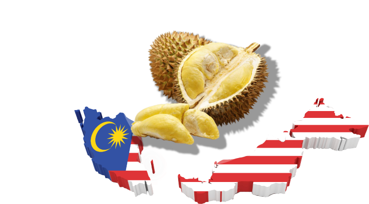 Malaysia Durian Fruit National Flag PNG with transparent background