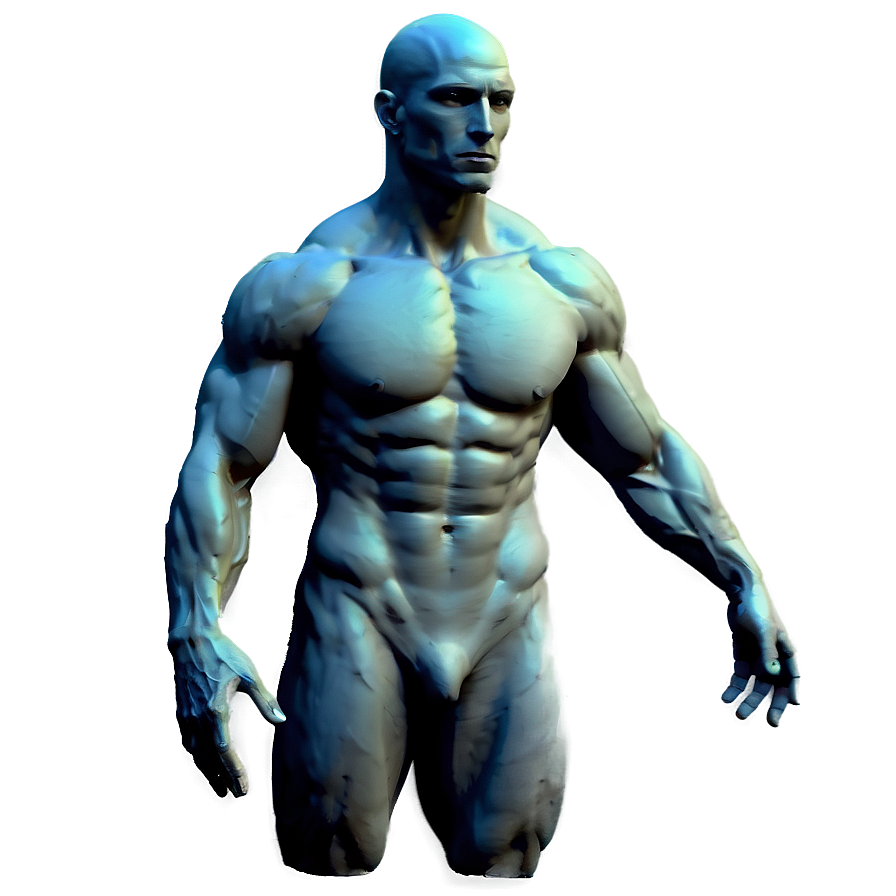 Male Torso Sketch Png 30