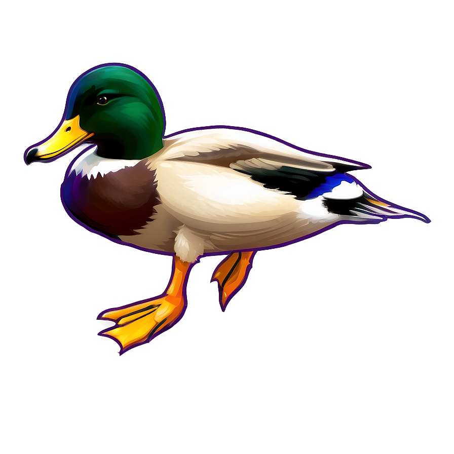 Mallard Duck B