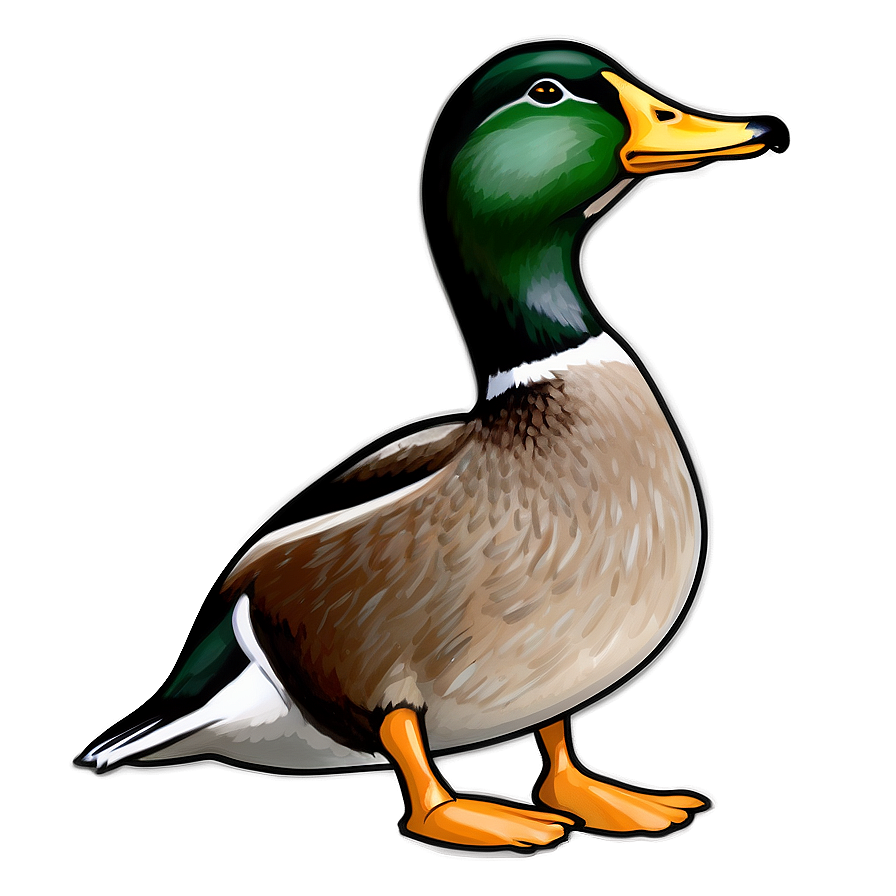 Mallard Duck Drawing Png Vlv60