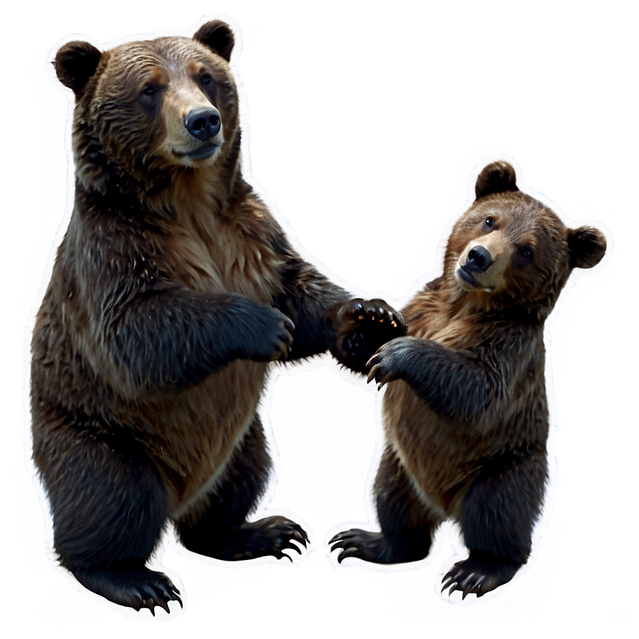 Mama Bear With Baby Bear Png Cbk