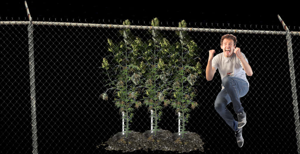 Man Jumping Over Barbed Wire Fence PNG with transparent background