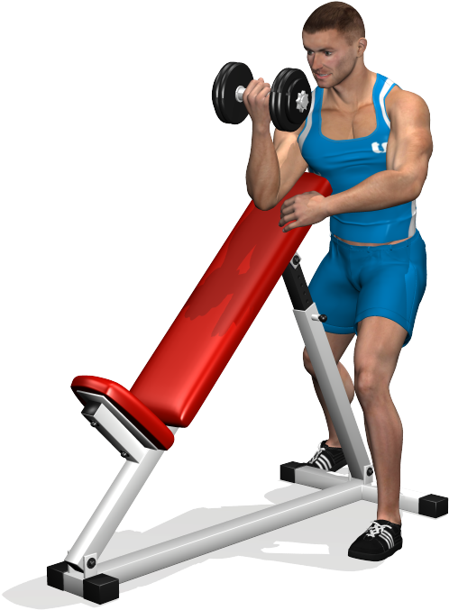 Man Performing Dumbbell Curlsat Gym