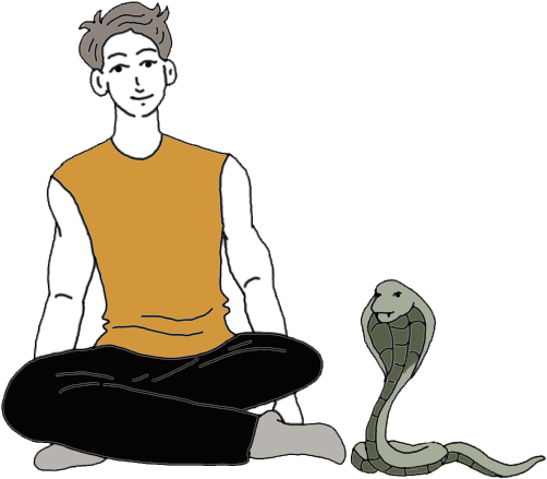 Manand Cobra Calm Encounter PNG with transparent background