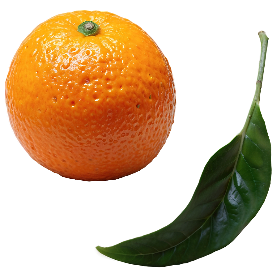 Mandarin Orange Png Olg27