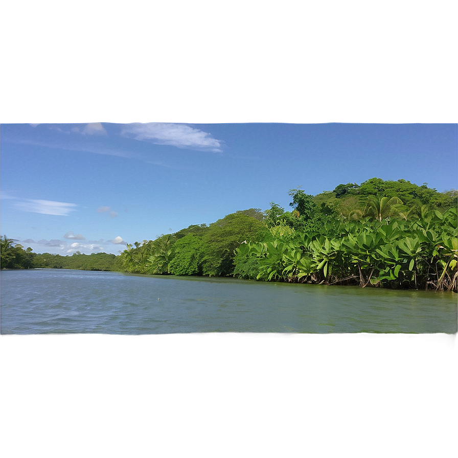 Mangrove Fishing Community Png Yal