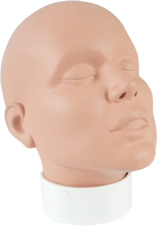 Mannequin Head Display