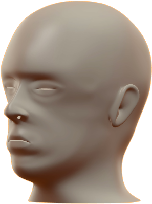 Mannequin Head Profile View