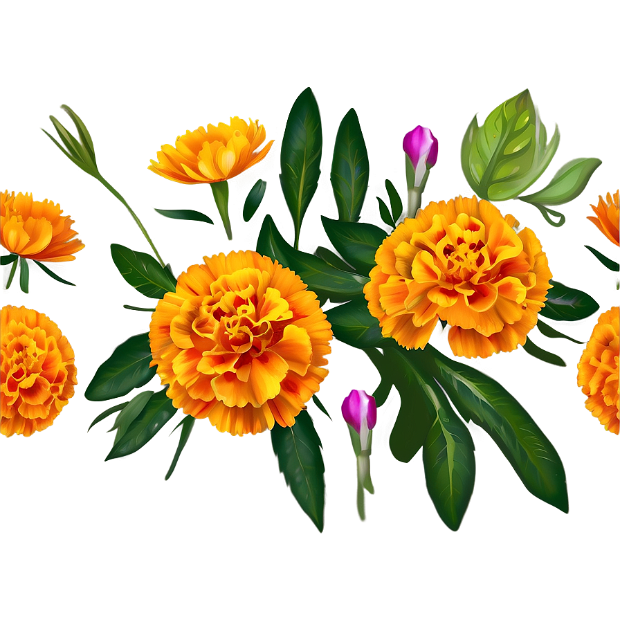 Marigold Bouquet PNG 64 PNG with transparent background