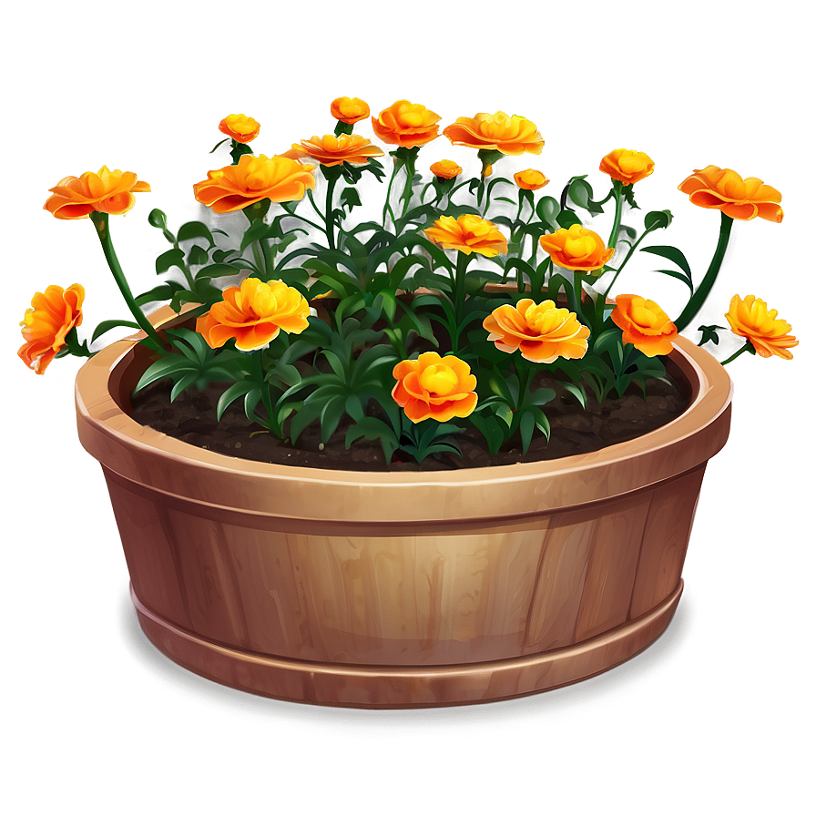 Marigold Garden Bed Png 06112024