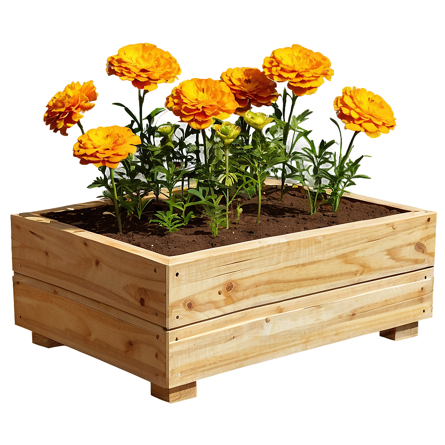 Marigold Garden Bed Png Nog75