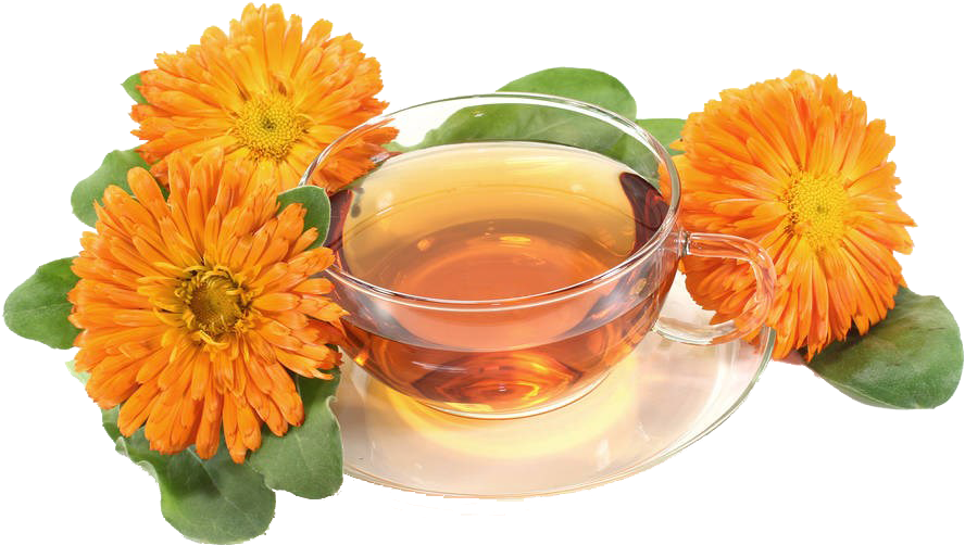 Marigold Tea Transparent Background