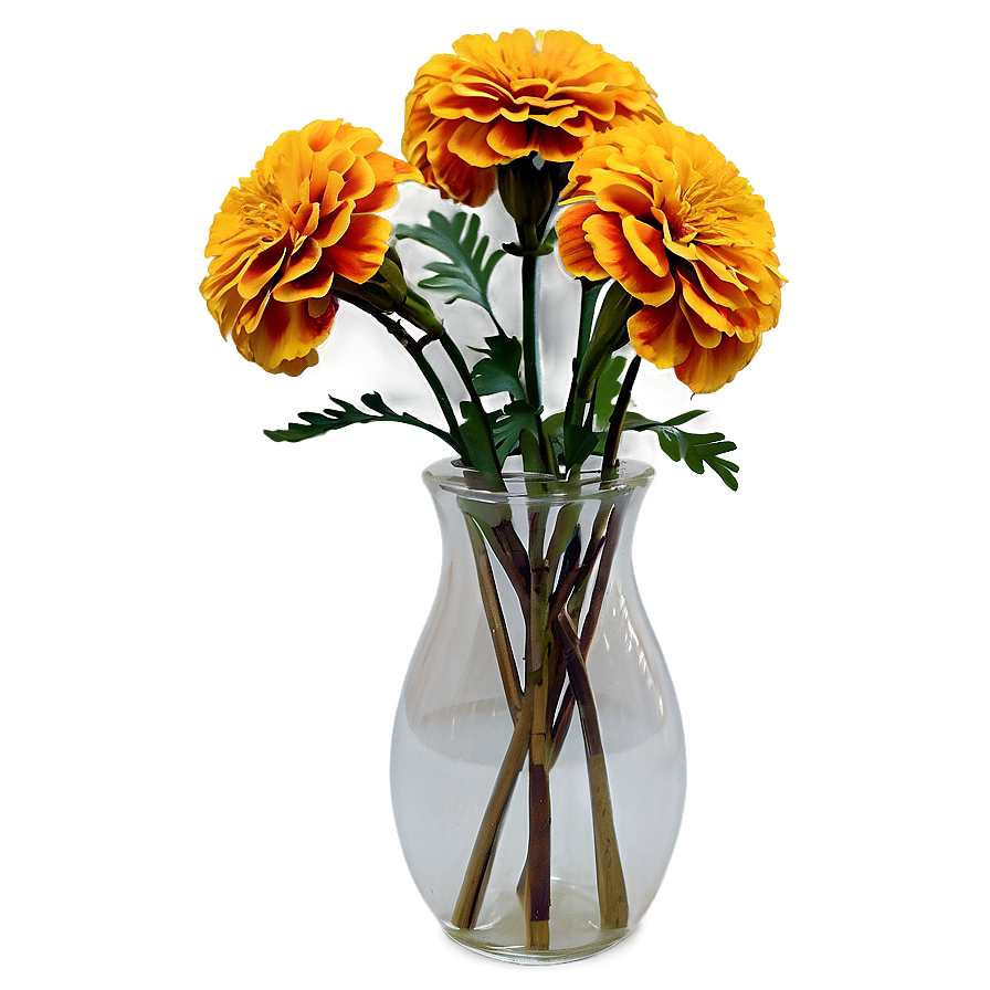 Marigolds In Vase Png 83