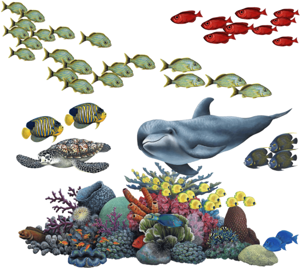 Coral Reef Tropical Fish Mural Wall Decal Sticker Combo - Coral Reef Sticker, HD Png Download PNG with transparent background