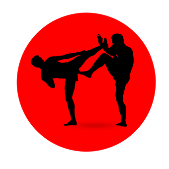Martial Arts High Kick Silhouette PNG with transparent background