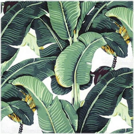 Martinique Wallpaper - Banana Leaf Tropical Leaf Pattern, HD Png Download PNG with transparent background