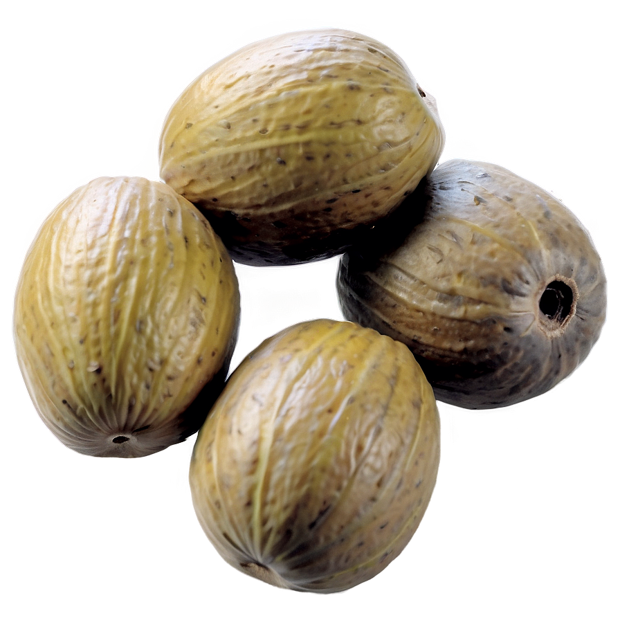 Marula Nut PNG esg PNG with transparent background